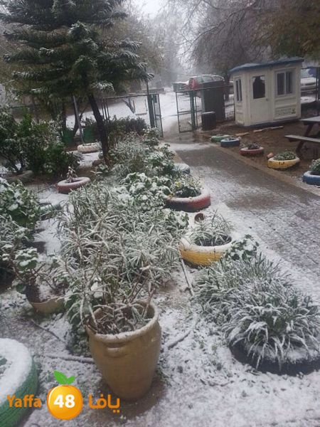 iceman lud 1213 (2).jpg